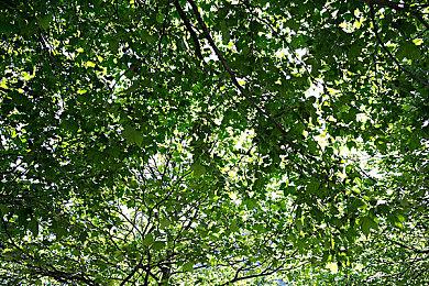 坤哥爆料：DNF世界观新游《第一狂战士：卡赞》将于2025年3月27日发售