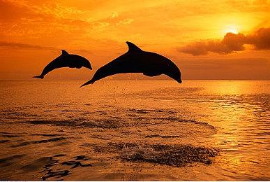 TI10主赛事在即 官方公布历届比赛历史之最