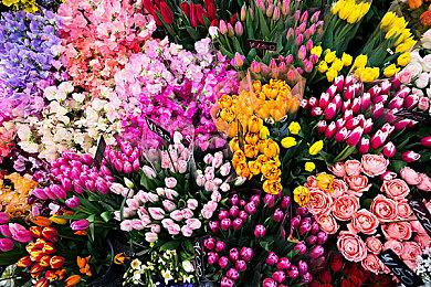 《无主之地4》中文故事宣传片 PC版画面效果很赞